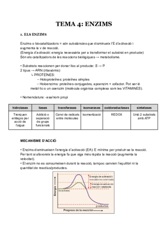 t4-ENZIMS-BIOLOGIA.pdf