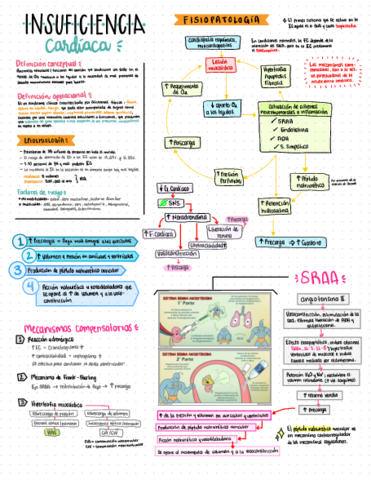 Cardiologia-IC1.pdf