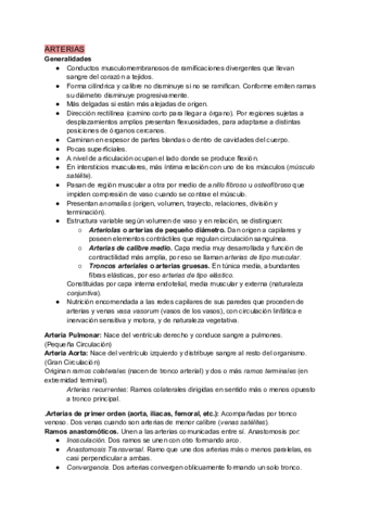 ARTERIAS-.pdf