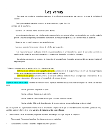 Venas-y-Linfaticos.pdf