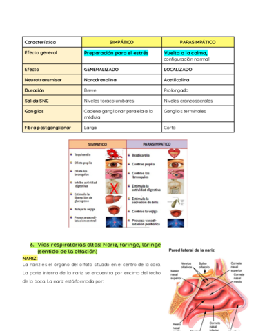 SISTEMA-RESPIRATORIO.pdf