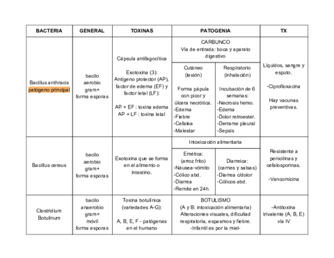 CLASIFICACION-DE-BACTERIAS.pdf