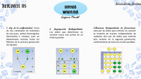 Resumen-5.pdf