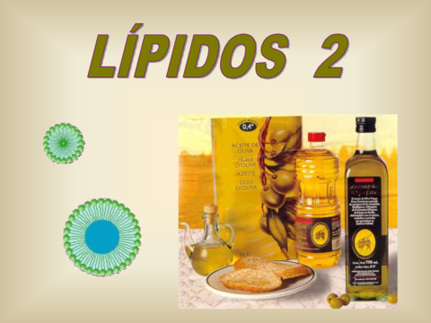 lipidos-complejos.pdf
