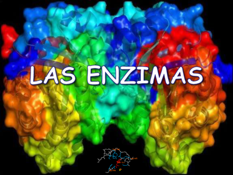 enzimas-y-hormonas.pdf