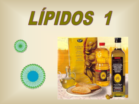 lipidos-simples.pdf