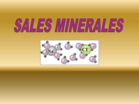 sales-minerales.pdf