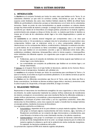 TEMA-4.pdf