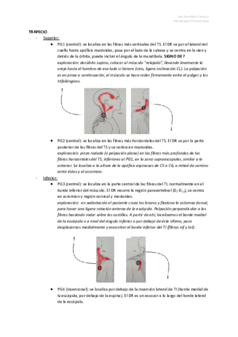 APUNTES-PUNTOS-GATILLOS.pdf