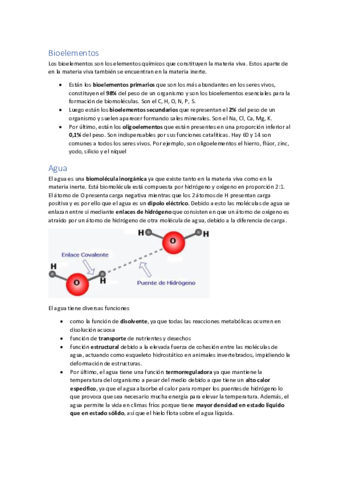 Bioelementos-y-Agua-1-BACH.pdf