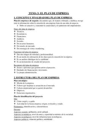 TEMA 3 - EL PLAN DE EMPRESA.pdf