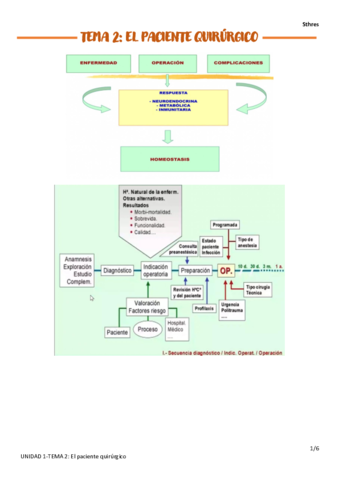 TEMA-2.pdf