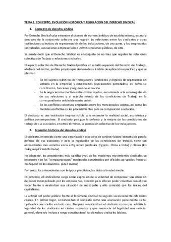 Apunts-dret-sindical-.pdf