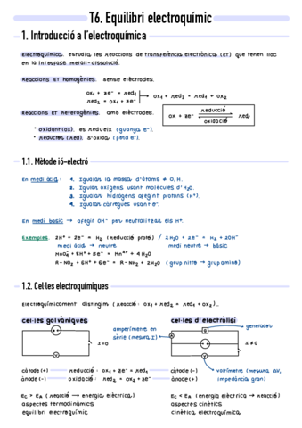 T6-Equilibri-electroquimic.pdf