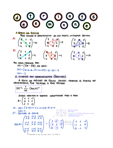 Determinantes.pdf