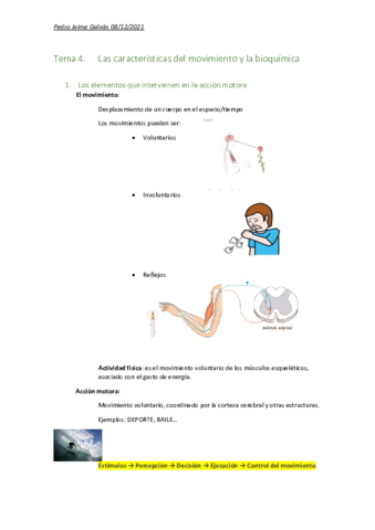 Tema-4-anatomia.pdf