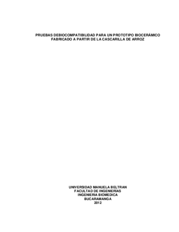 TRABAJO-DE-GRADO-IB102011.pdf