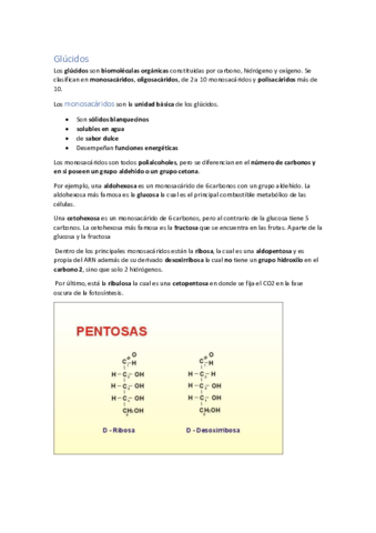 Glucidos-1-BACH.pdf