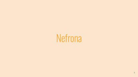 Nefrona.pdf
