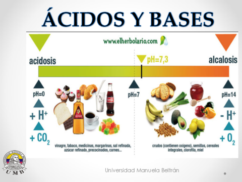 10-acidos-y-bases.pdf