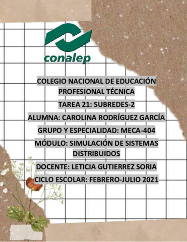 TAREA-21-SUBREDES-2.pdf