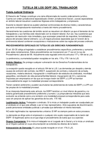 3-TUTELA-DE-LOS-DERECHOS-FUNDAMENTALES-DE-LOS-TRABAJADORES.pdf