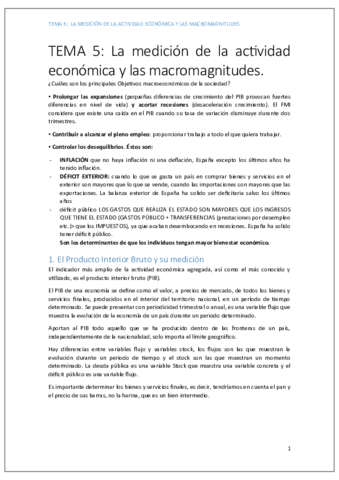 TEMa5economia.pdf