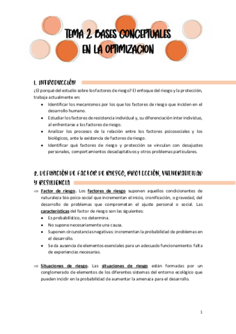 TEMA-2-OPTIMIZACION.pdf