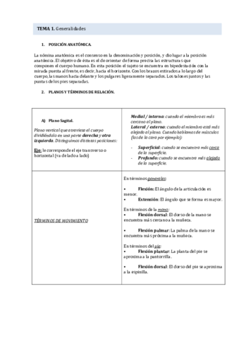 Anatomia-1o-Parcial.pdf