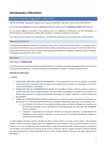 Prejudicis.pdf