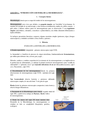 Micro-I-Leccion-1-3.pdf