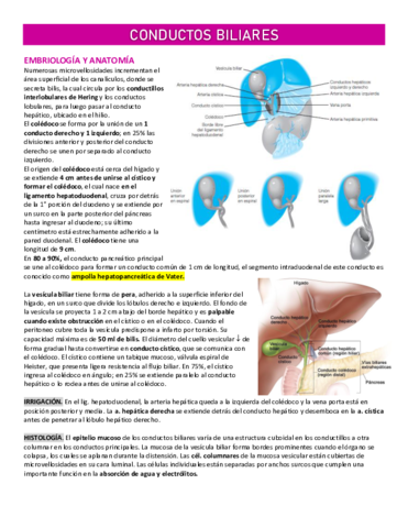 1PARCIAL-QX.pdf