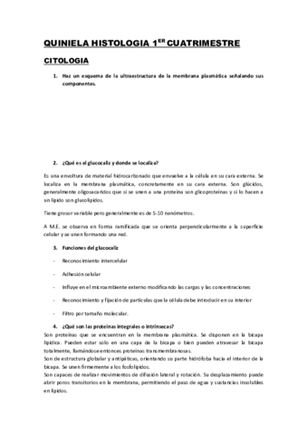 Quiniela-cito.pdf