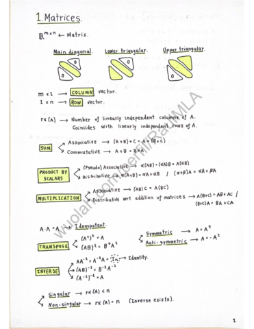 ✅ RESUMEN PARA EXÁMENES.pdf