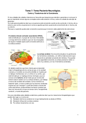 Tema-7-Paciente-en-Coma.pdf