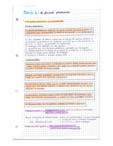 Economia-de-la-empresa-tema-3.pdf