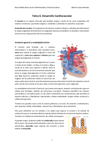 6.pdf