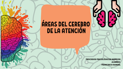 Areas-del-cerebro-de-la-atencion.pdf