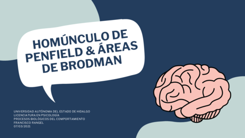 Exposicion-Homunculo-de-Penfield-y-Areas-de-Brodman.pdf