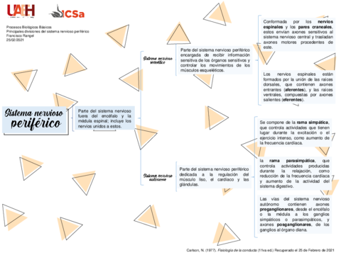 Cuadro-sinoptico-Sistema-Nervioso-Periferico.pdf