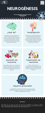 Infografia-Neurogenesis.pdf
