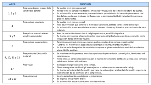Tabla-Areas-de-Brodman.pdf