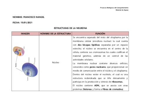 Tabla-Estructuras-de-la-Neurona.pdf
