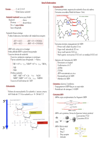 Tema-5.pdf