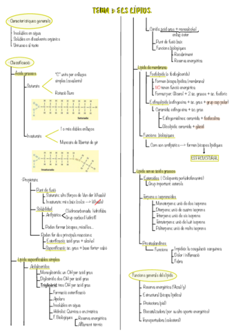 Tema-3.pdf