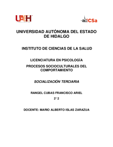 Resumen-Socializacion-Terciaria.pdf