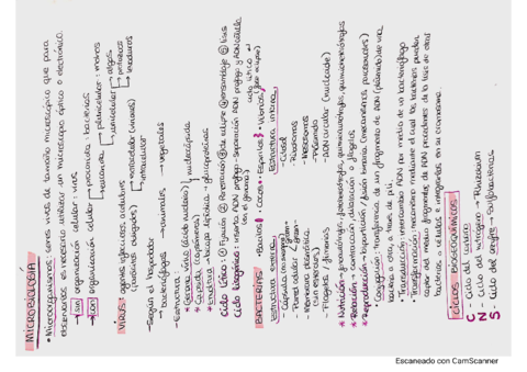 CamScanner-12-10-2021-21.pdf