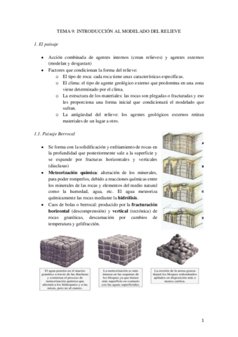 TEMA-9.pdf