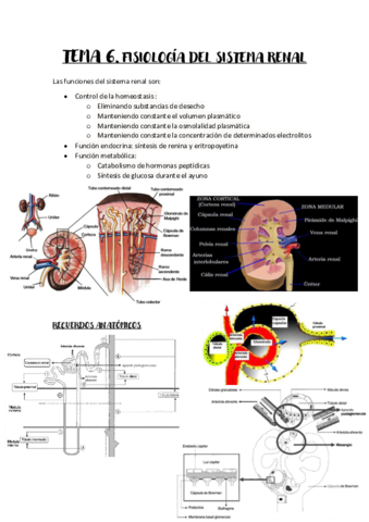 TEMA-6.pdf