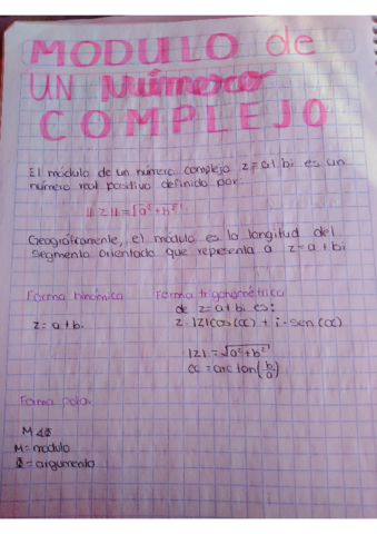 Moduelodeuncomplejo.pdf